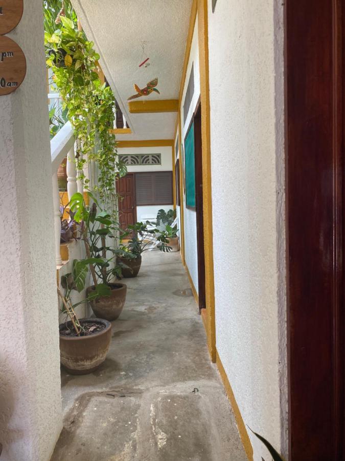 Hotel Adoquin Zipolite Exteriér fotografie